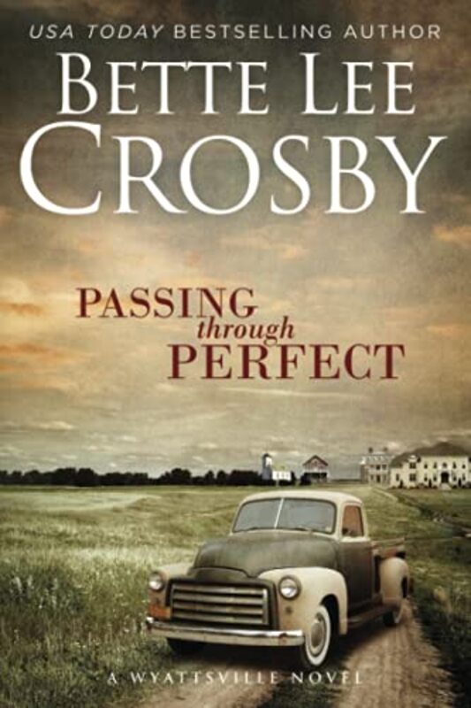 Book cover for "Passing through Perfect" by Bette Lee Crosby