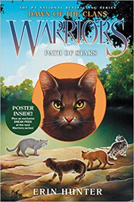 Warriors Dawn of the Clans book cover