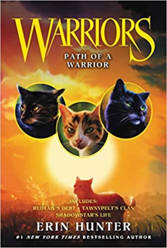 Book cover for "Path of a Warrior" by Erin Hunter