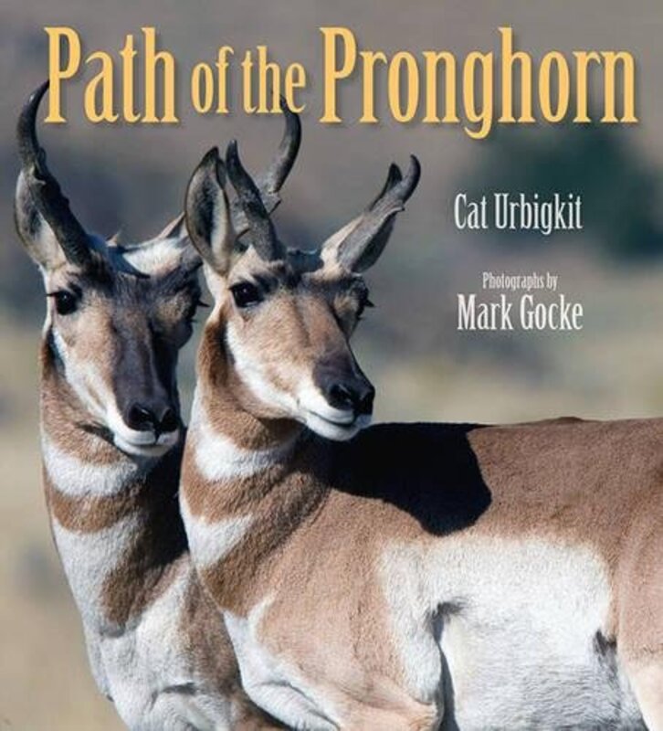 Book cover for "Path of the Pronghorn" by Cat Urbigkit