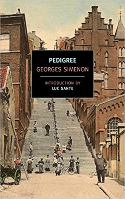Book cover for "Pedigree" by Georges Simenon