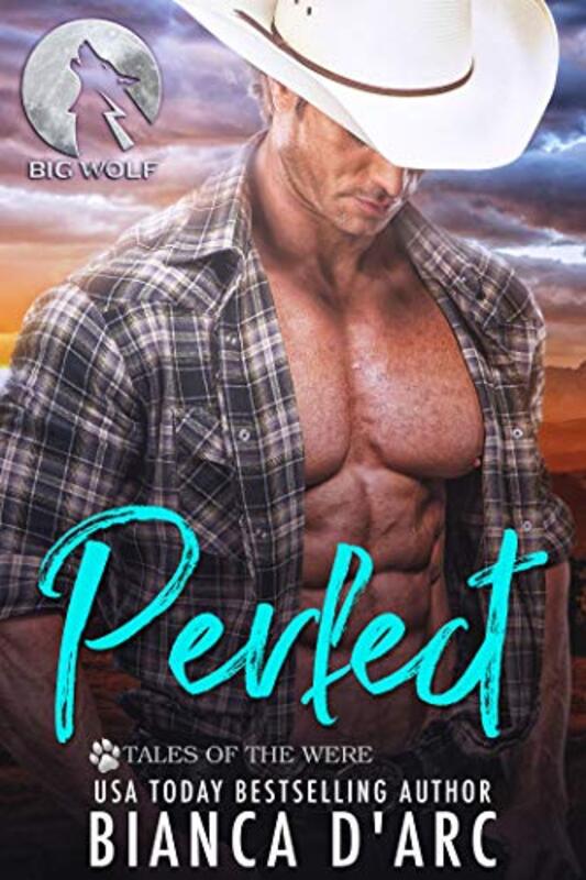 Book cover for "Perfect" by Bianca D'Arc