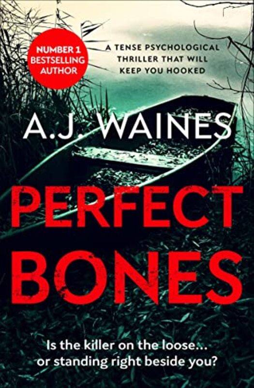 AJ Waines book cover