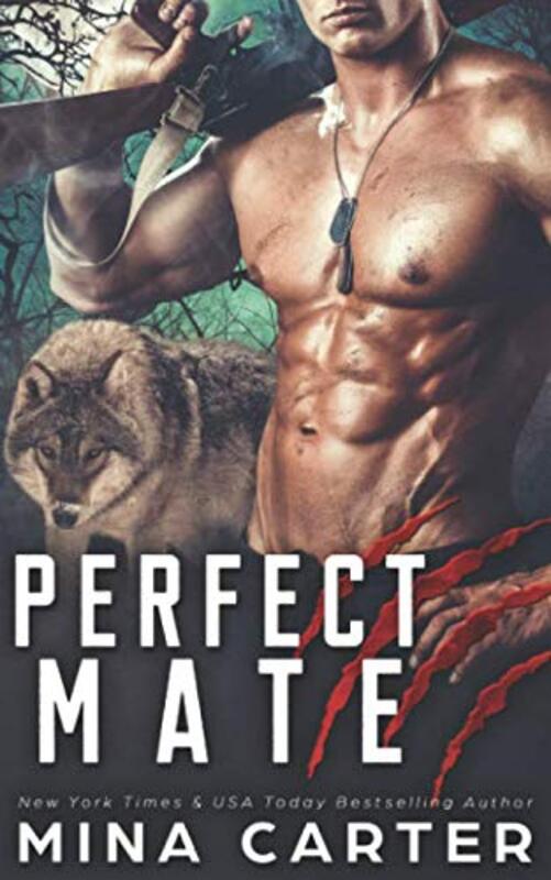 Book cover for "Perfect Mate" by Mina Carter