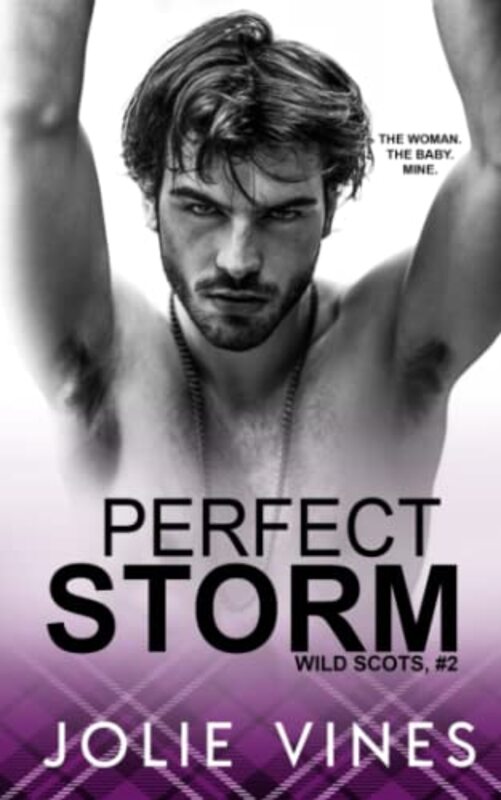 Book cover for "Perfect Storm" by Jolie Vines