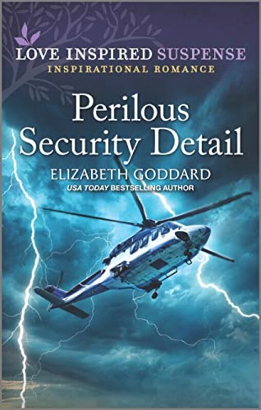 Book cover for "Perilous Security Detail" by Elizabeth Goddard