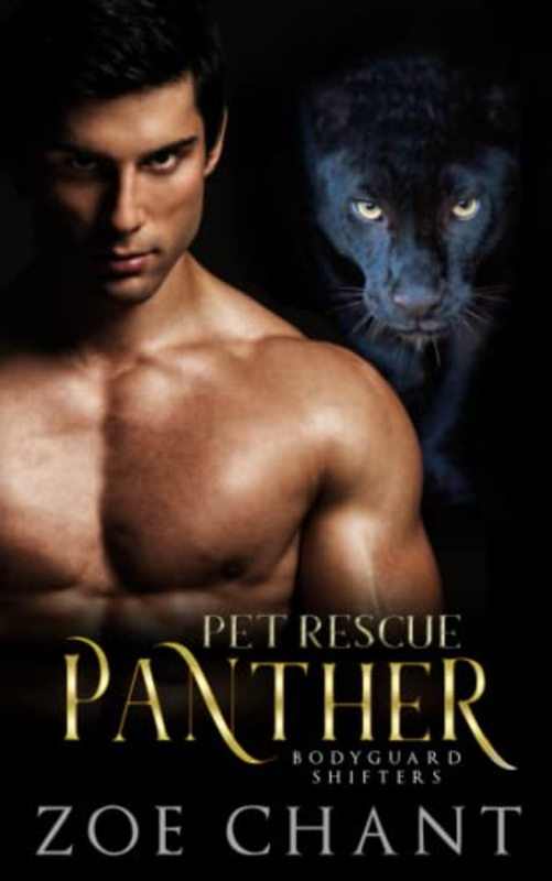 Book cover for "Pet Rescue Panther" by Zoe Chant