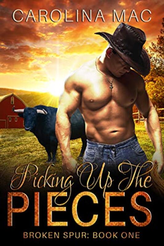 Book cover for "Picking Up the Pieces" by Carolina Mac