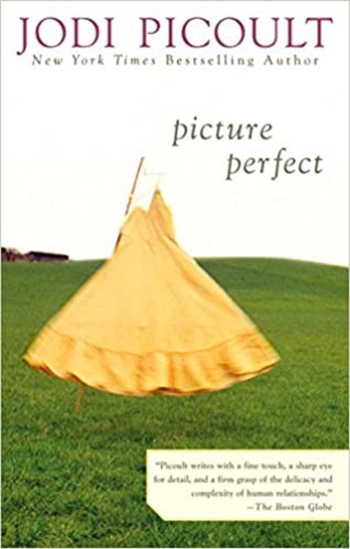 Book cover for "Picture Perfect"