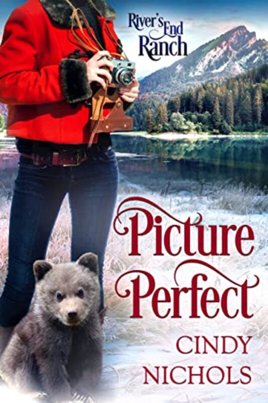 Book cover for "Picture Perfect" by Cindy Nichols