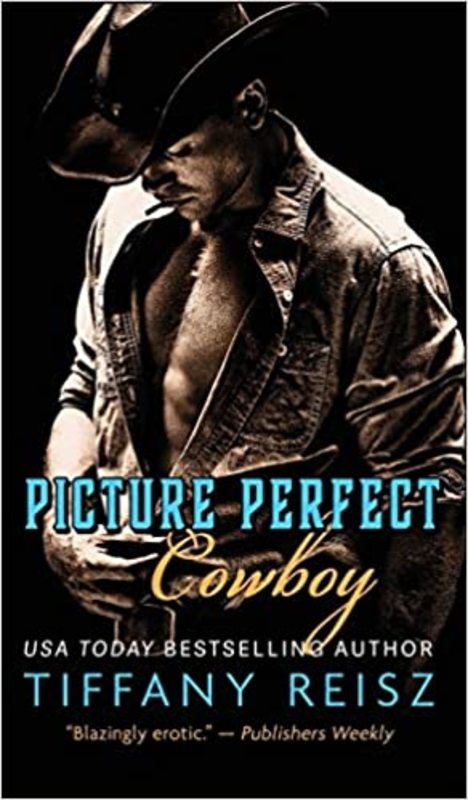 Book cover for "Picture Perfect Cowboy" by Tiffany Reisz