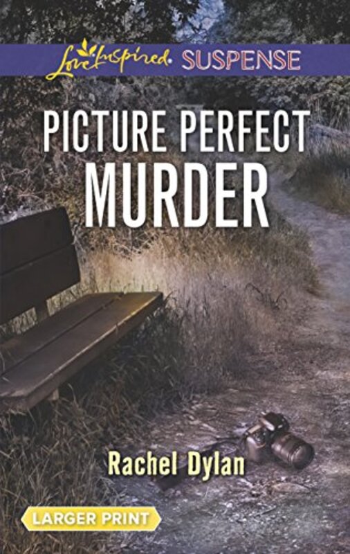 Book cover for "Picture Perfect Murder" by Rachel Dylan