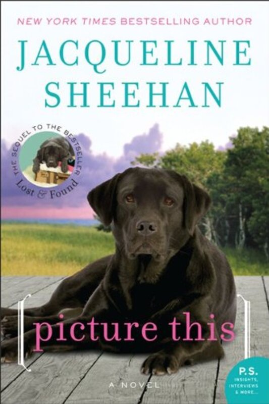 Book cover for "Picture This" by Jacqueline Sheehan
