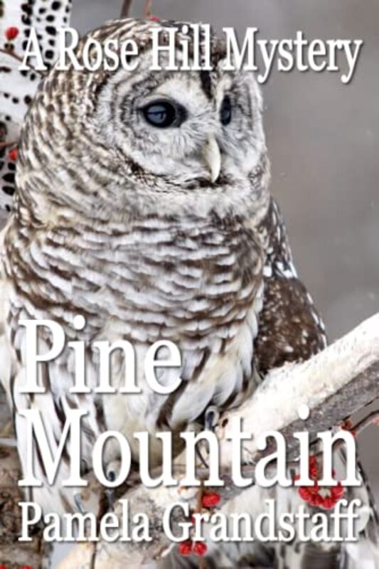 Rose Hill Mystery book cover