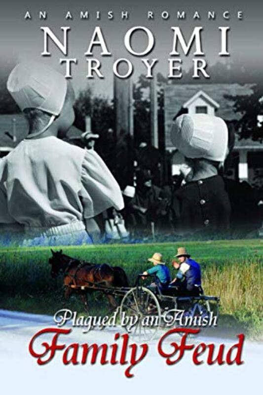 Book cover for "Plagued by an Amish Family Feud" by Naomi Troyer