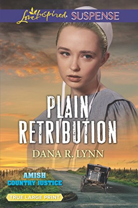 Book cover for "Plain Retribution" by Dana R Lynn