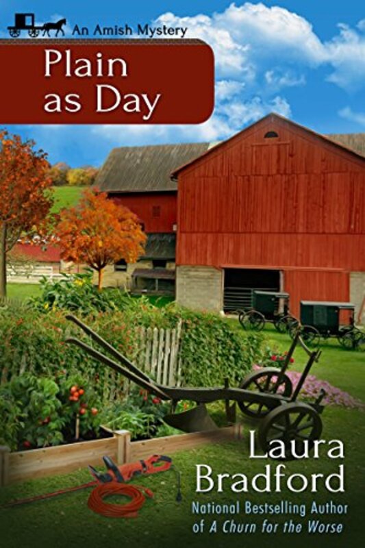 Amish Mysteries book cover