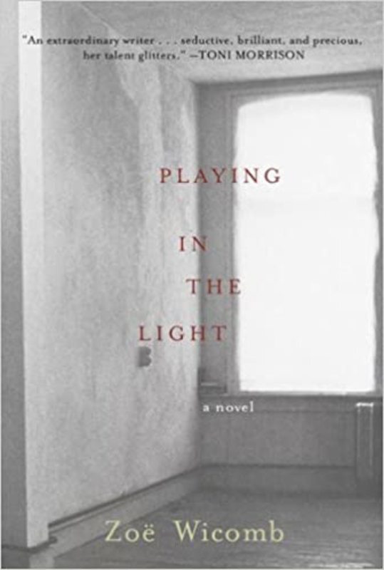 Book cover for "Playing in the Light" by Zoë Wicomb