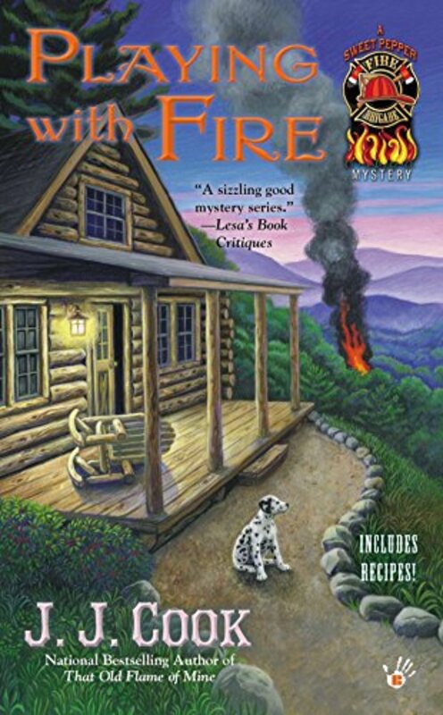 Book cover for "Playing with Fire" by JJ Cook