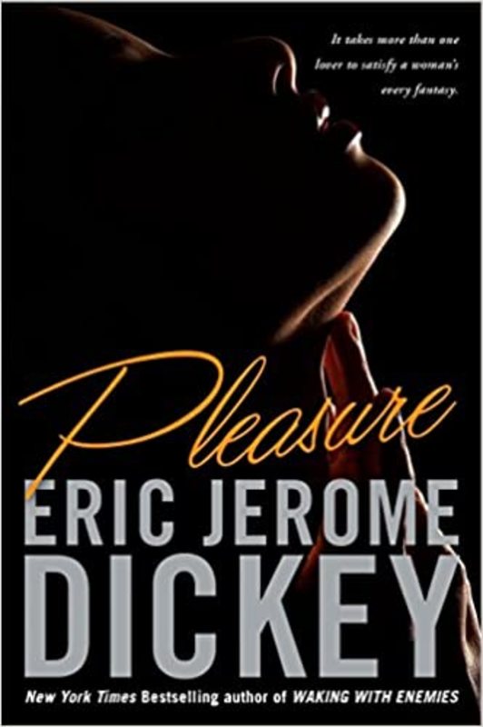 Book cover for "Pleasure" by Eric Jerome Dickey