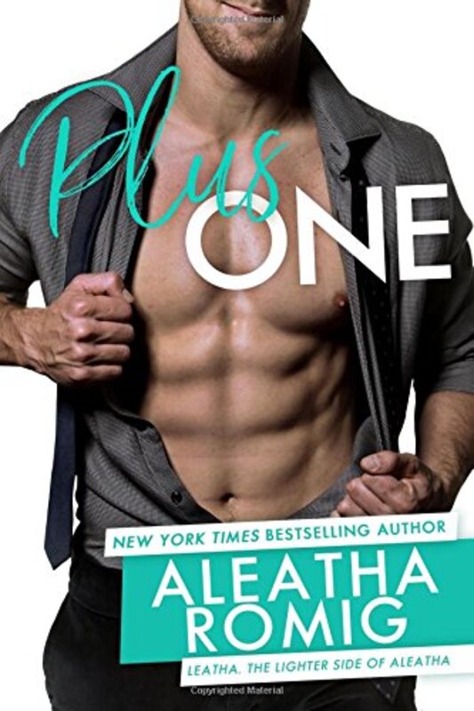 Book cover for "Plus One" by Aleatha Romig