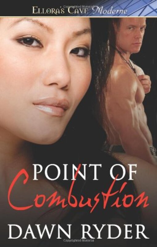 Book cover for "Point Of Combustion" by Dawn Ryder