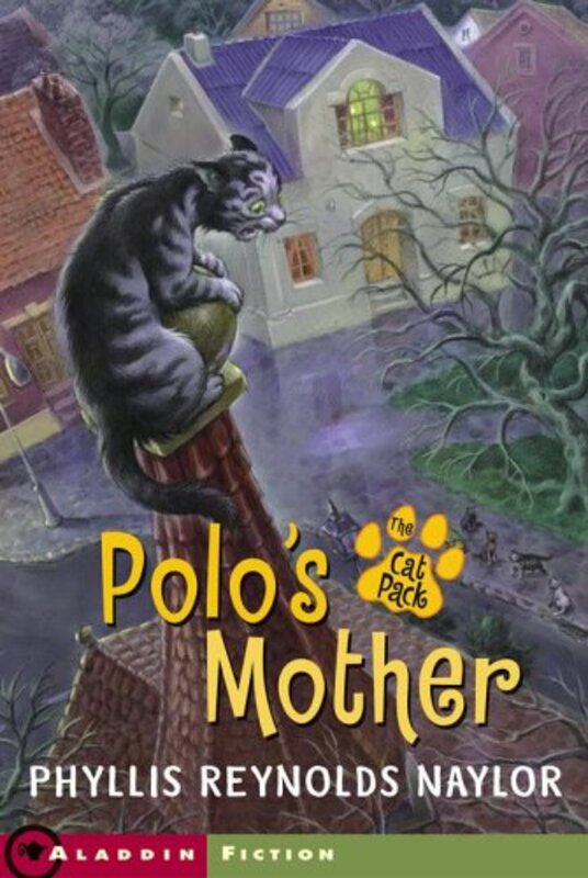 Book cover for "Polo's Mother" by Phyllis Reynolds Naylor