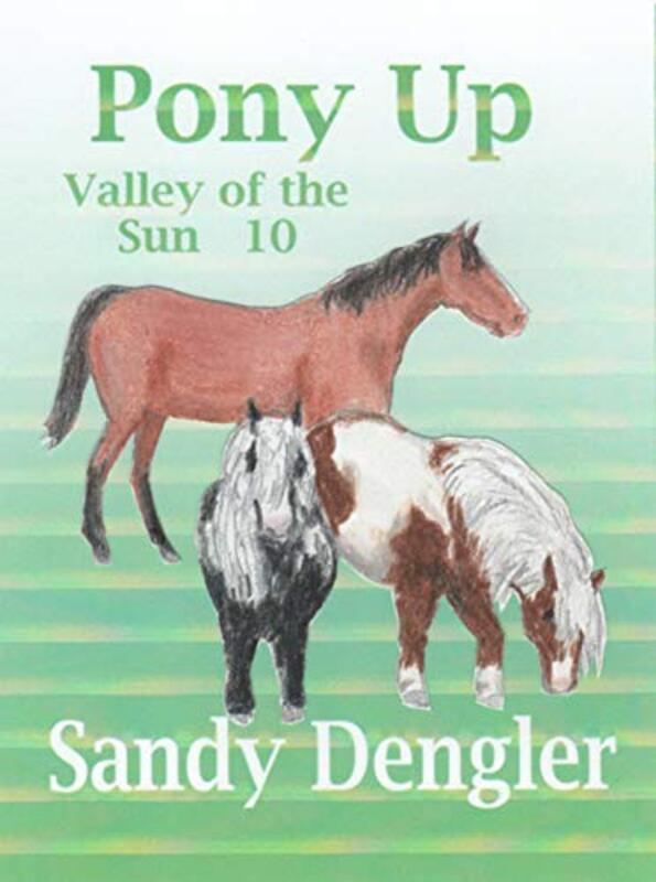 Sandy Dengler book cover