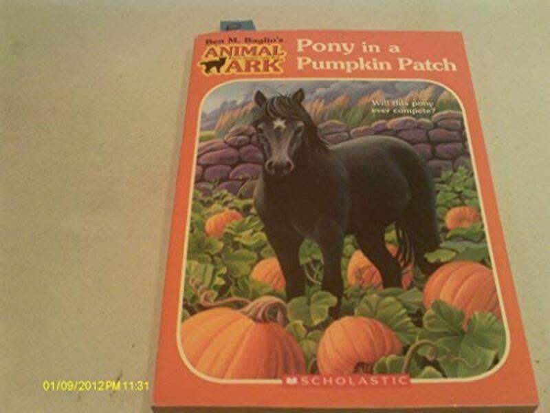 Book cover for "Pony in a Pumpkin Patch" by Ben M Baglio