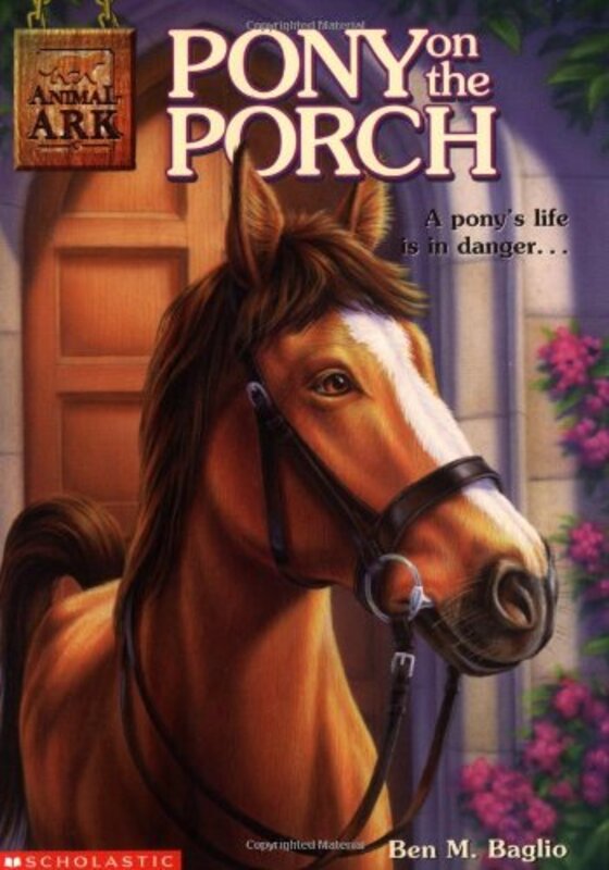 Book cover for "Pony on the Porch" by Lucy Daniels