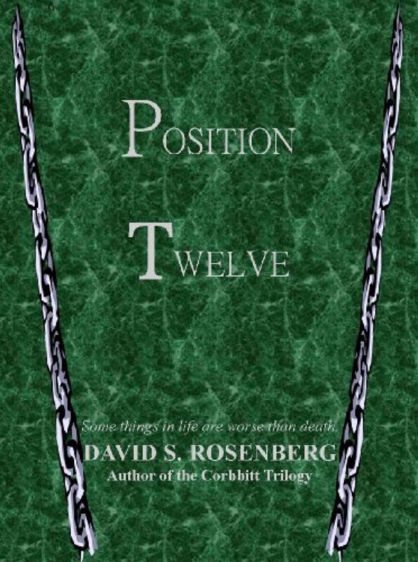 Book cover for "Position Twelve" by David S Rosenberg