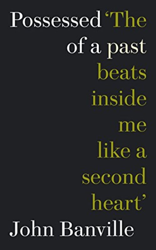 Book cover for "Possessed of a Past" by John Banville