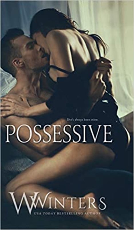 Book cover for "Possessive" by Willow Winters