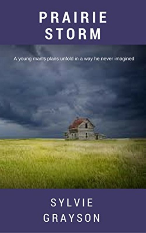 Book cover for "Prairie Storm" by Sylvie Grayson