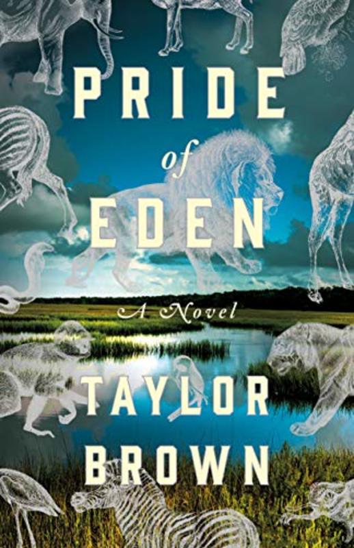 Taylor Brown book cover