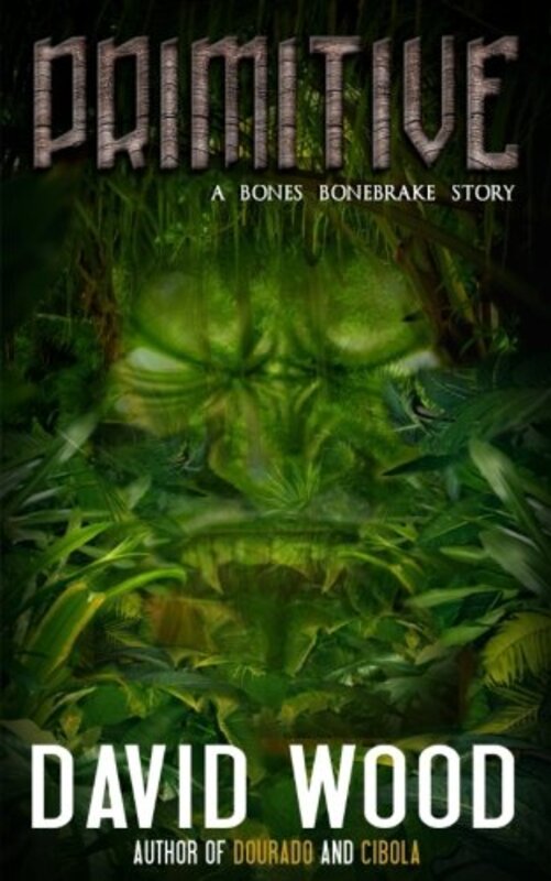 Book cover for "Primitive" by David Wood