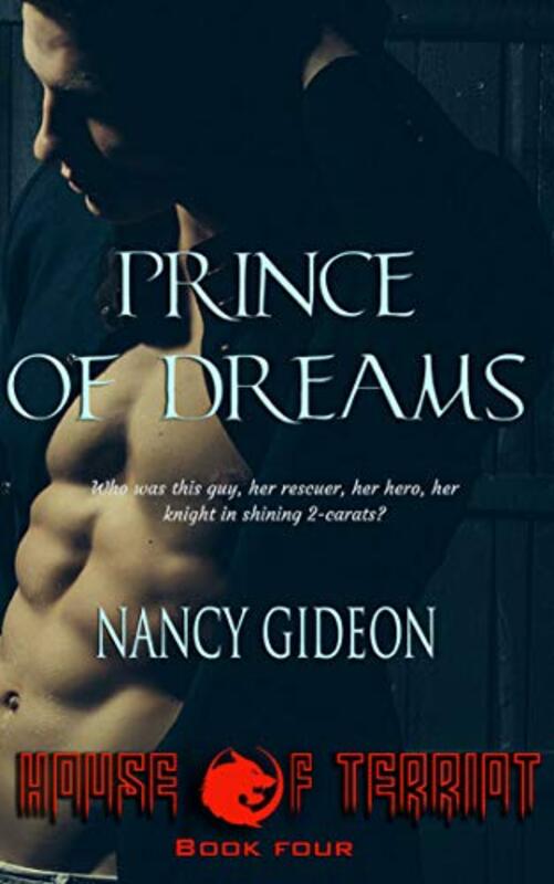 Nancy Gideon book cover