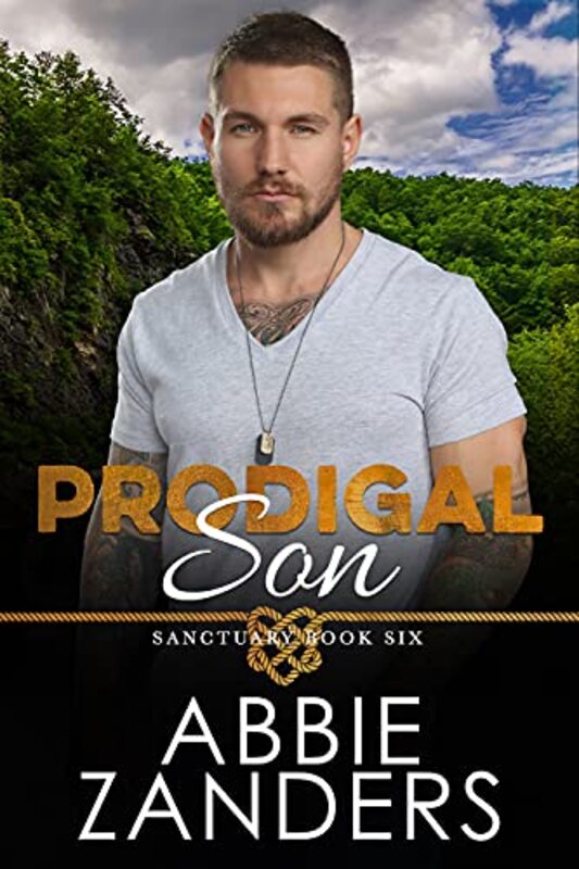 Abbie Zanders book cover