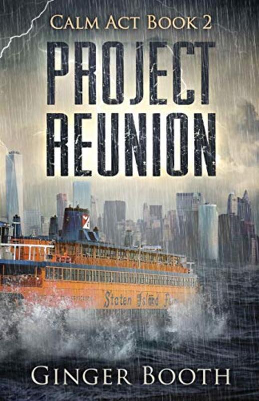 Book cover for "Project Reunion" by Ginger Booth