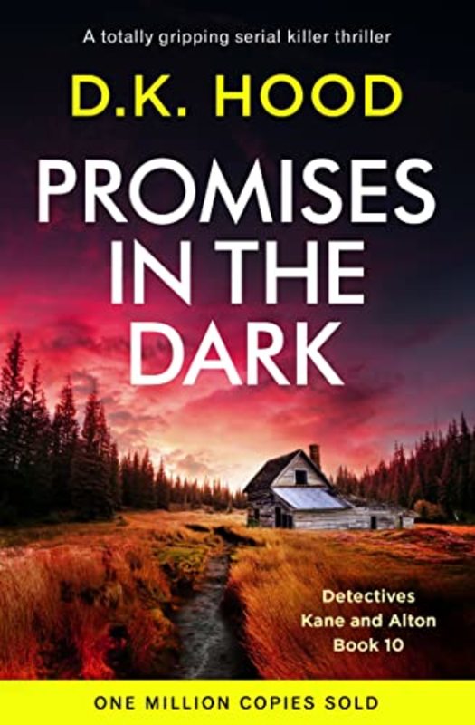 Book cover for "Promises in the Dark" by DK Hood