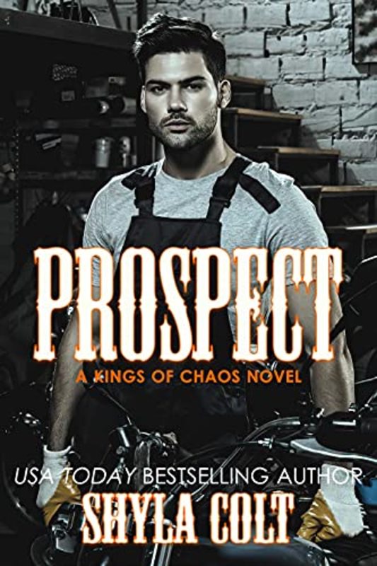 Book cover for "Prospect" by Shyla Colt