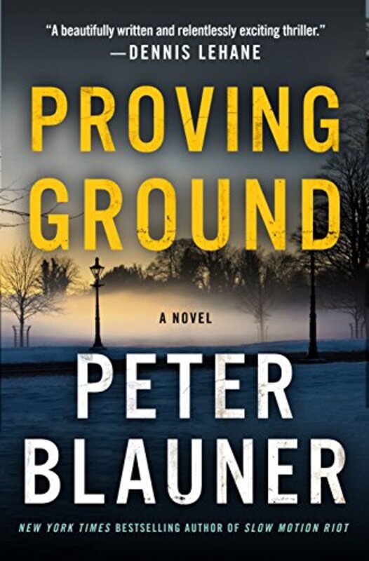 Peter Blauner book cover