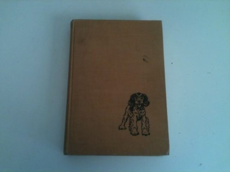 Book cover for "Puppy stakes" by Betsy Allen