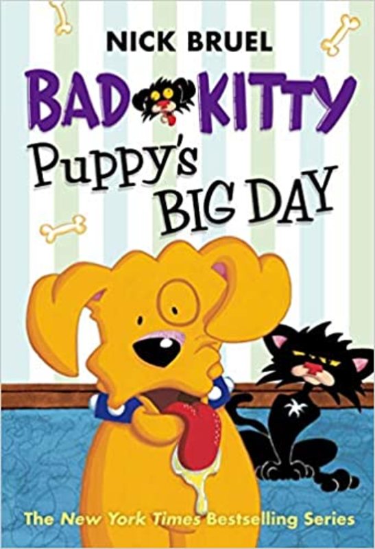 Book cover for "Puppy's Big Day" by Nick Bruel