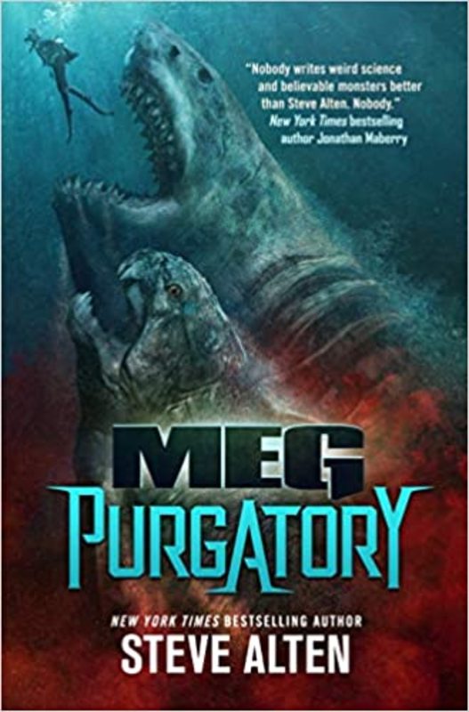 MEG book cover