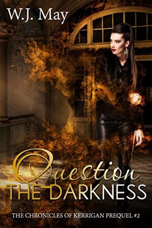 Book cover for "Question the Darkness" by WJ May