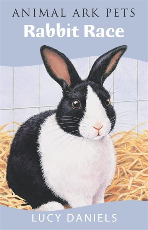 Book cover for "Rabbit Race" by Lucy Daniels