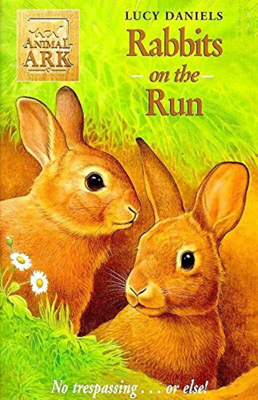 Book cover for "Rabbits on the Run" by Lucy Daniels