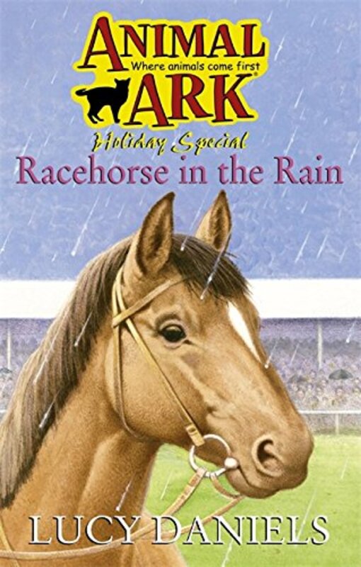 Book cover for "Racehorse in the Rain" by Lucy Daniels
