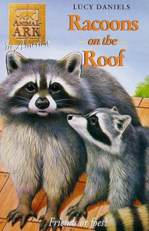 Book cover for "Racoons on the Roof" by Lucy Daniels